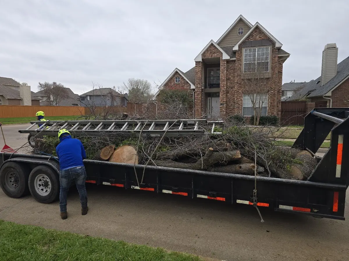 Expert Lot Clearing with proper safety equipment in Lyons